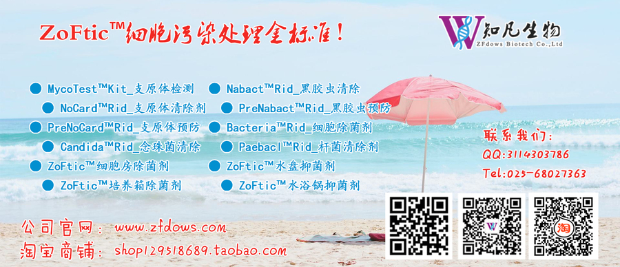 2019summer01.jpg