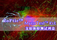 MycoTest™Kit（50rxns）-支原体检测试剂盒