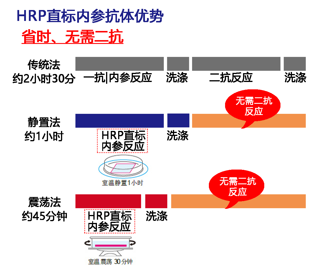 指标内参抗体优势.jpg