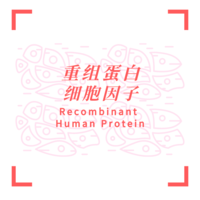 Recombinant  GNDF protein,1mg