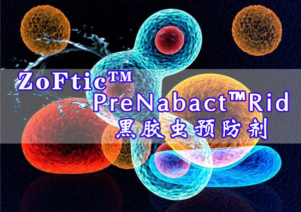 PreNabact™Rid-黑胶虫预防剂（1000×）