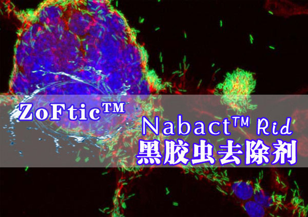 Nabact™Rid-黑胶虫去除剂（升级款800×）