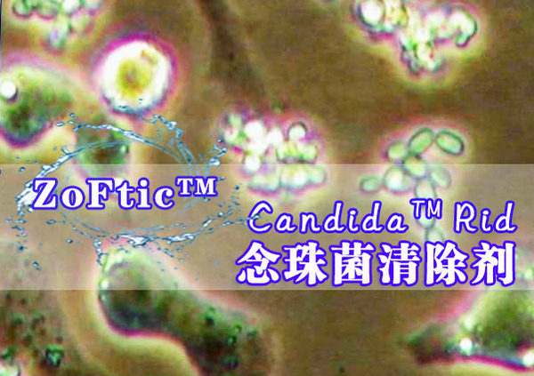 Candida™Rid-念珠菌清除剂