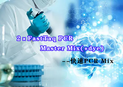 2×FastTaq PCR Master Mix+dye（1mL×5）