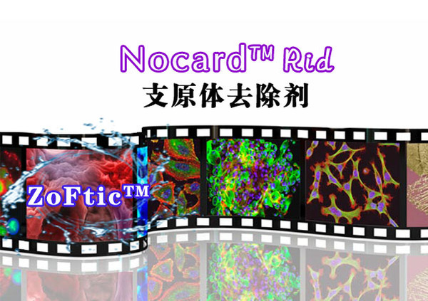 Nocard™Rid-支原体去除剂(1000-2000×）