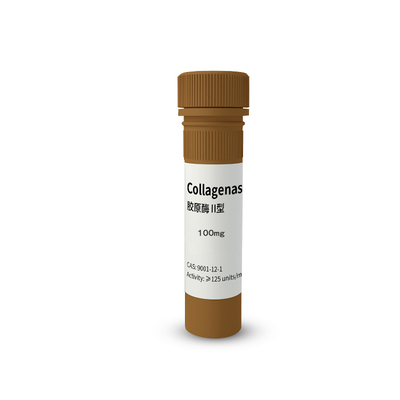 Collagenase Ⅱ胶原酶Ⅱ-100 mg×5