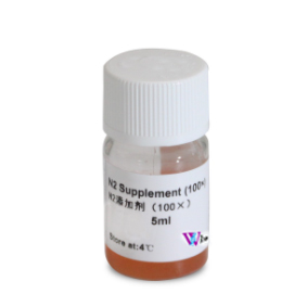 N2 Supplement (100X),N2 添加剂 (100X)