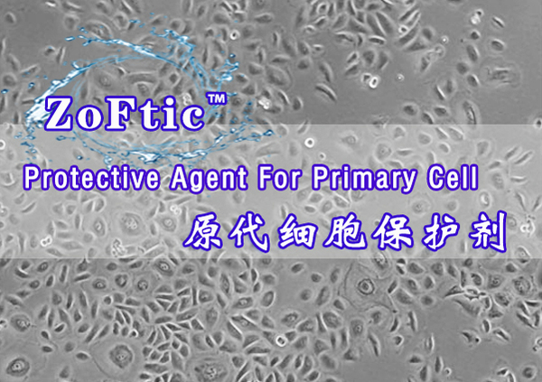 原代细胞保护剂-Protective Agent for Primary Cell