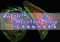 MycoTest™Stain（10 mL×2）-支原体检测试剂盒