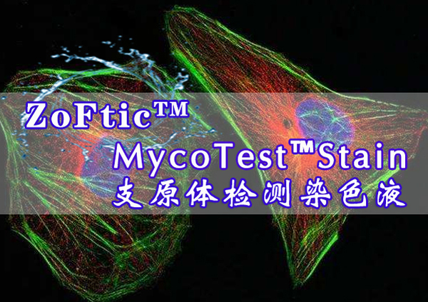 MycoTest™Stain-支原体检测染液