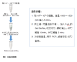 GenomeGet™Kit（100rxns）-基因组提取扩增试剂盒