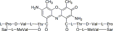 7-Aminoactinomycin D (7-AAD) ​